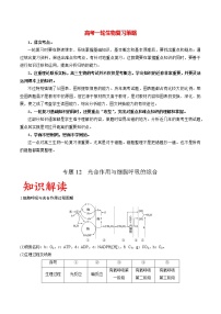 高考生物一轮复习重难点专项 专题12 光合作用与细胞呼吸的综合