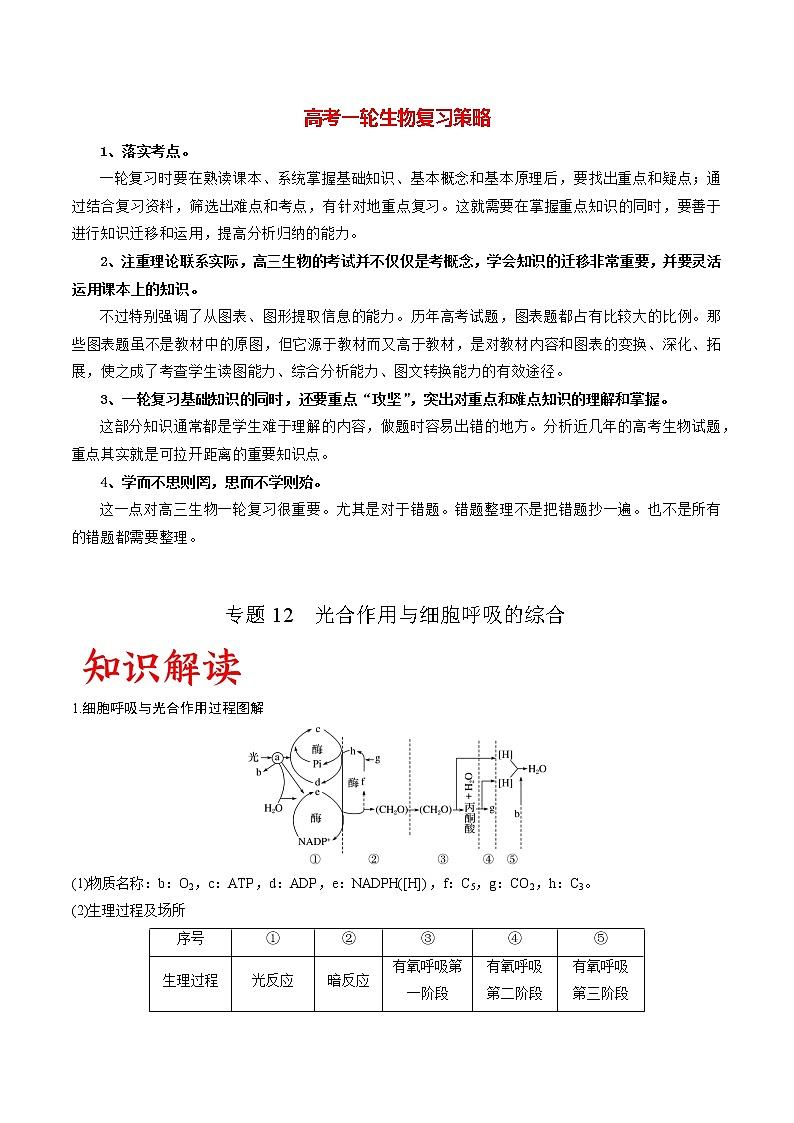 专题12 光合作用与细胞呼吸的综合（教师版）第1页
