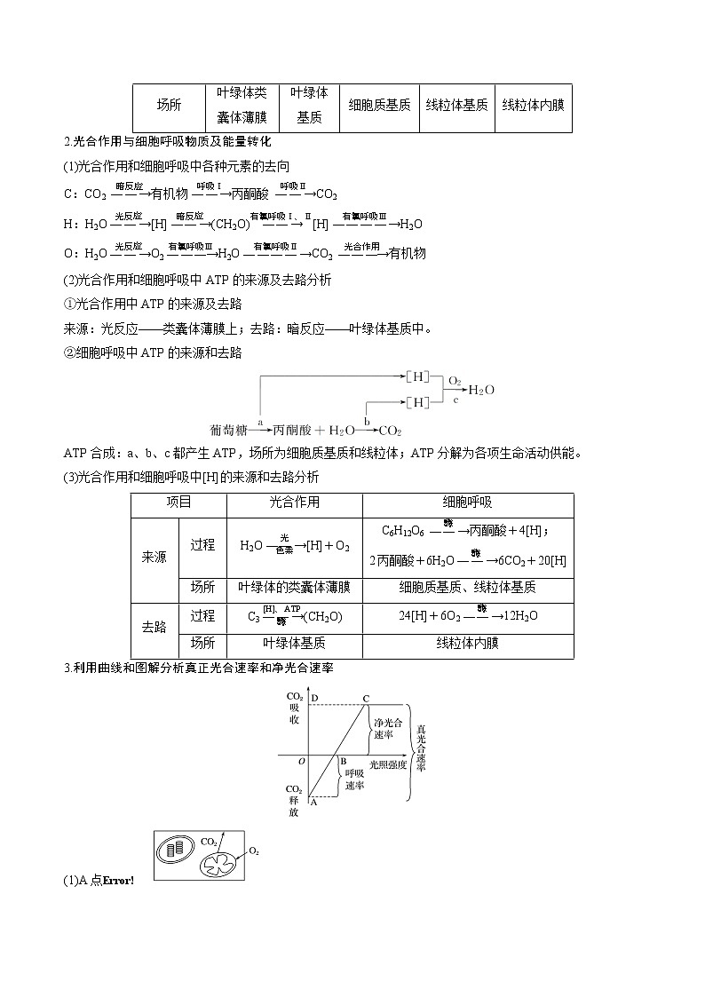 专题12 光合作用与细胞呼吸的综合（教师版）第2页