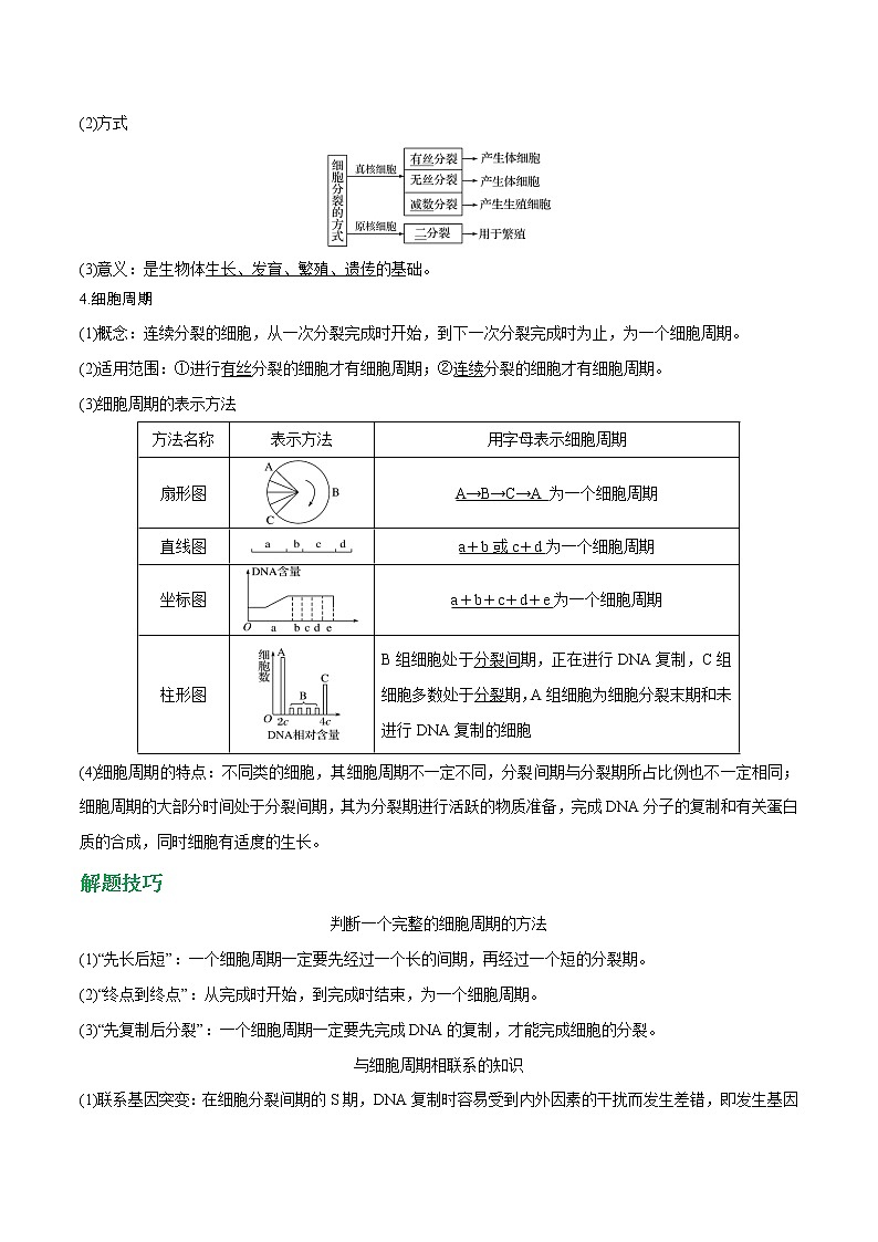 专题13 细胞的增殖（学生版）第2页