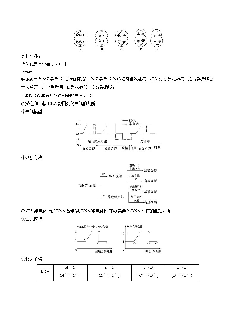 高考生物一轮复习重难点专项 专题16 有丝分裂和减数分裂的综合03