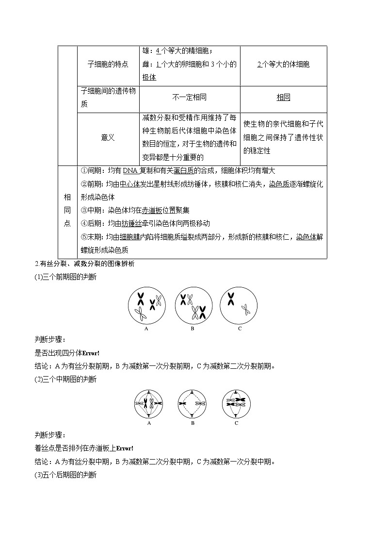 高考生物一轮复习重难点专项 专题16 有丝分裂和减数分裂的综合02