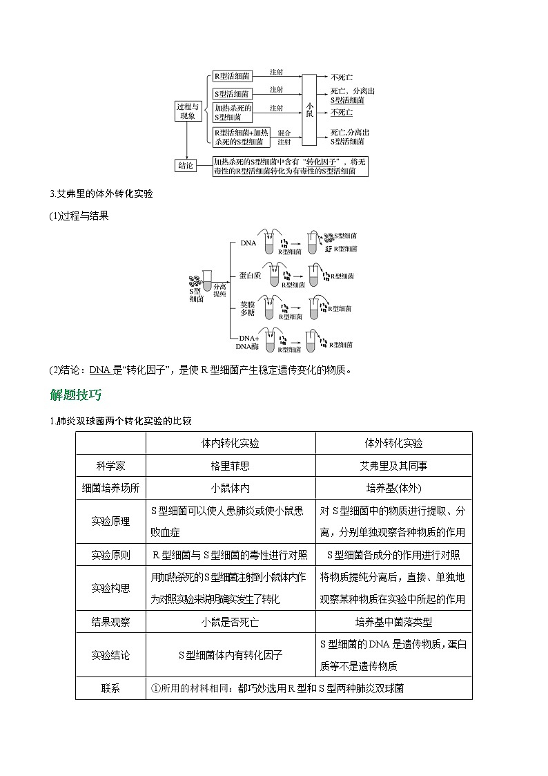高考生物一轮复习重难点专项 专题17 人类对遗传物质的探索过程02