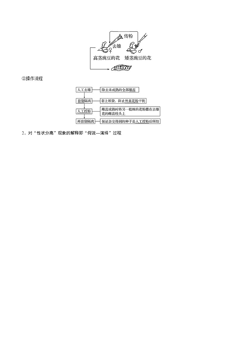 高考生物一轮复习重难点专项 专题21 基因的分离定律02