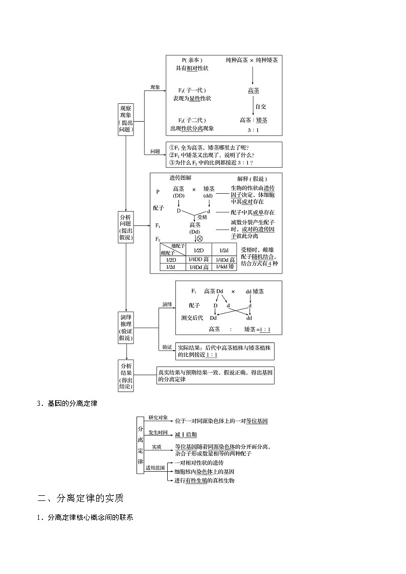 高考生物一轮复习重难点专项 专题21 基因的分离定律03