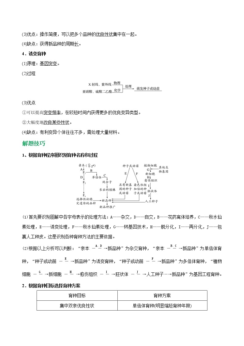 高考生物一轮复习重难点专项 专题30 生物变异在育种上的应用03