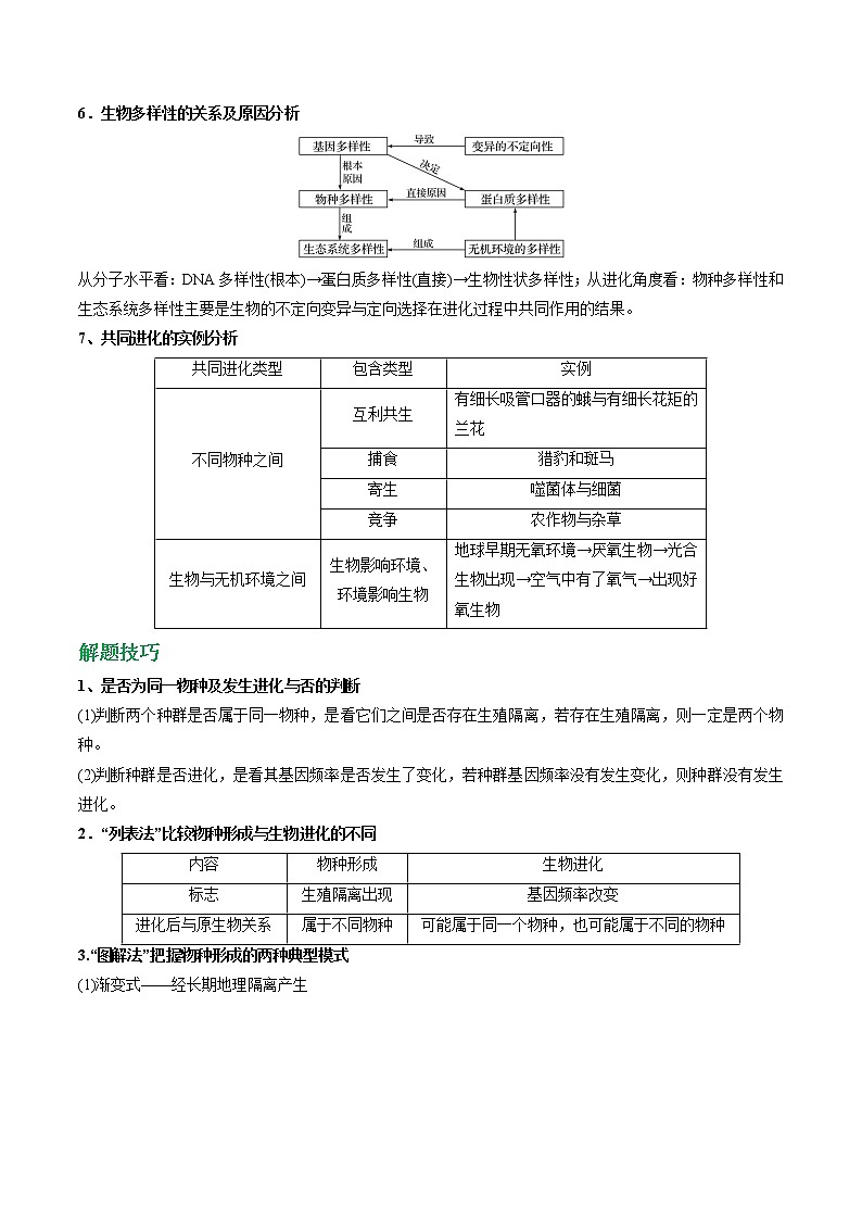 专题31 生物的进化（学生版）第3页