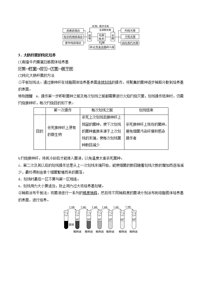 专题53 微生物的实验室培养（教师版）第2页