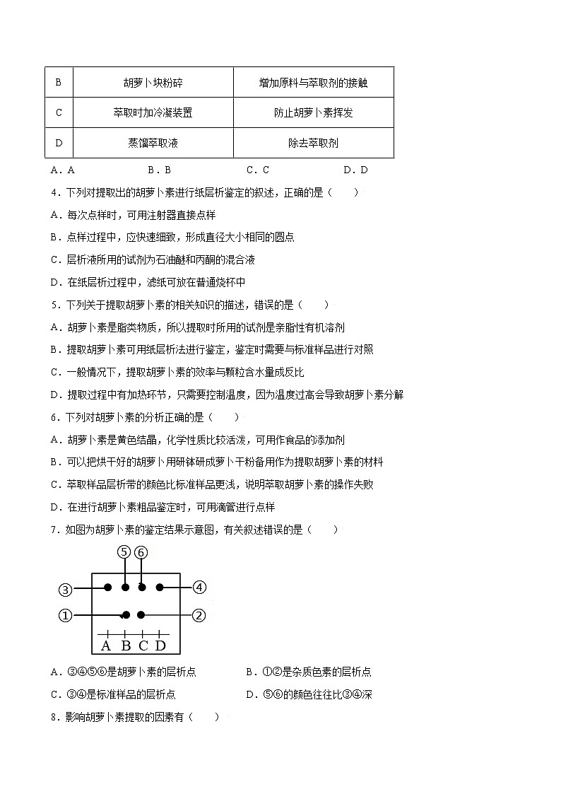 专题61 胡萝卜素的提取（学生版）第3页