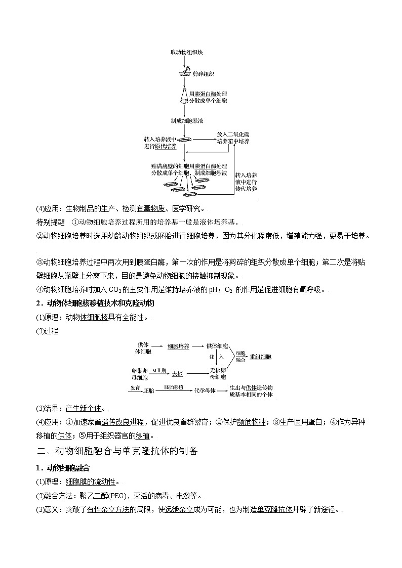 专题64 动物细胞工程（学生版）第2页