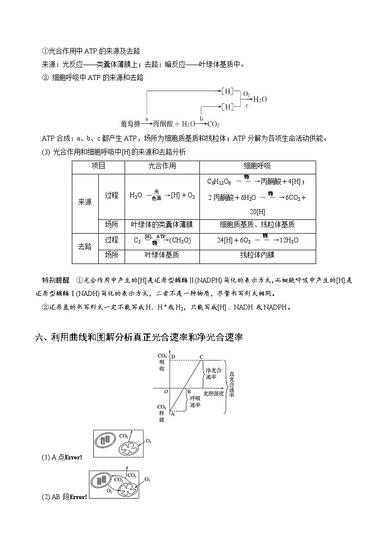 高中生物高考专题02  细胞呼吸与光合作用的综合-备战2021年高考生物核心考点透析（解析版）第3页
