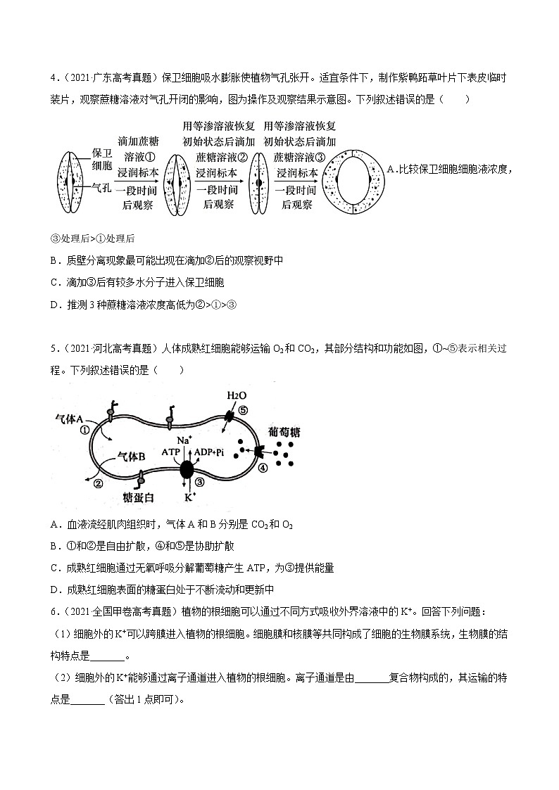 高中生物高考专题02 物质进出细胞、酶和ATP-2021年高考真题和模拟题生物分项汇编（原卷版）第2页