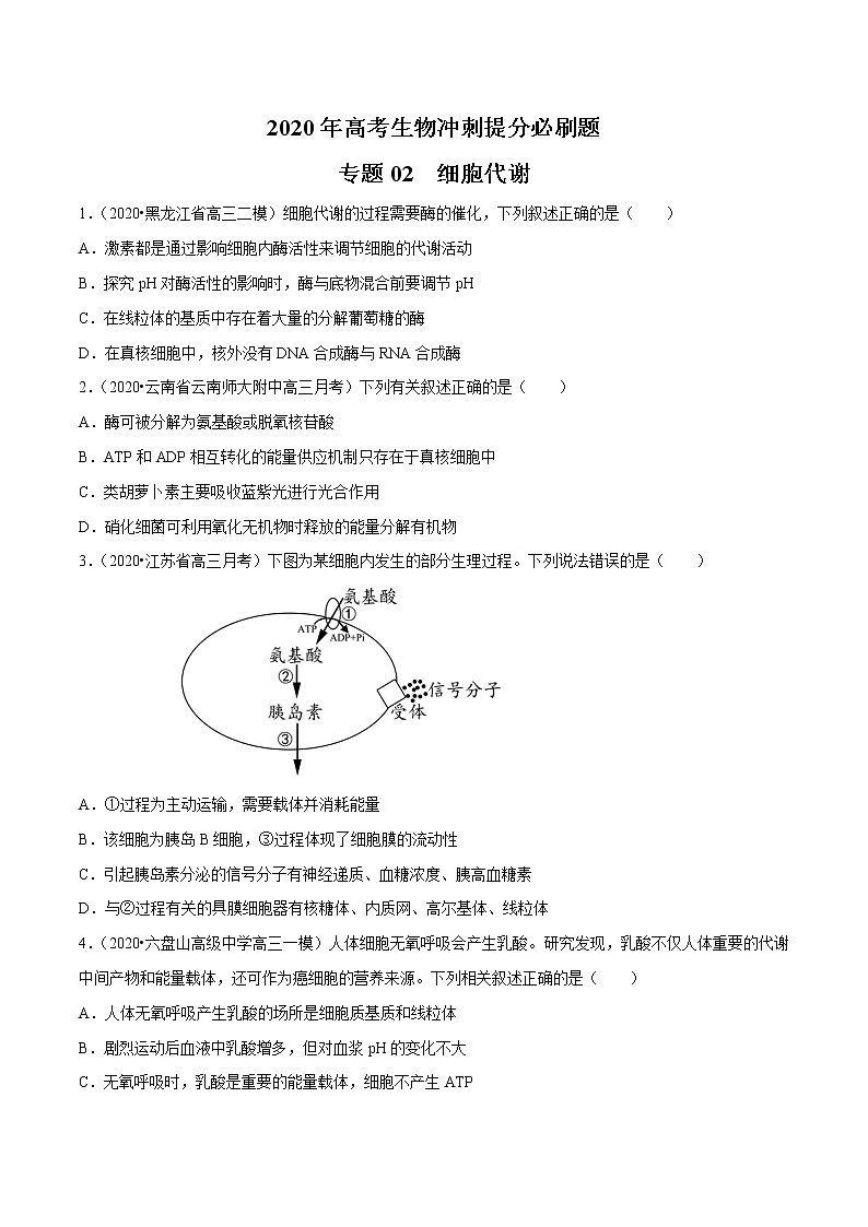 高中生物高考专题02 细胞代谢（原卷版）第1页