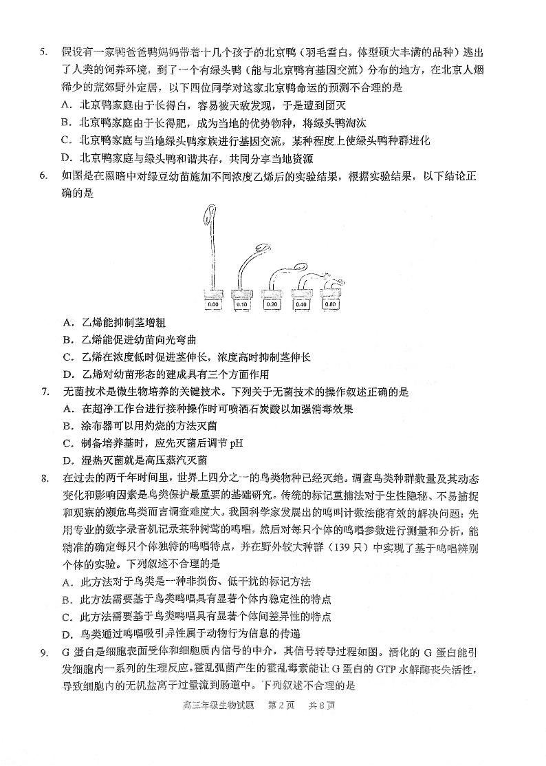 2023湖北省华中师范大学第一附中高三第二次学业质量评价检测生物试题PDF版无答案第2页