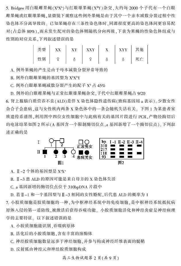 2023郴州高三下学期第三次教学质量监测试题生物PDF版含答案第3页