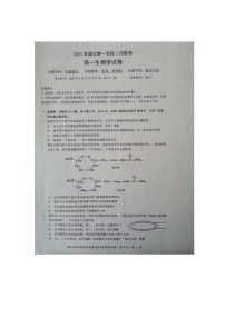 2023湖北省名校协作体高一下学期3月联考试题生物图片版含答案