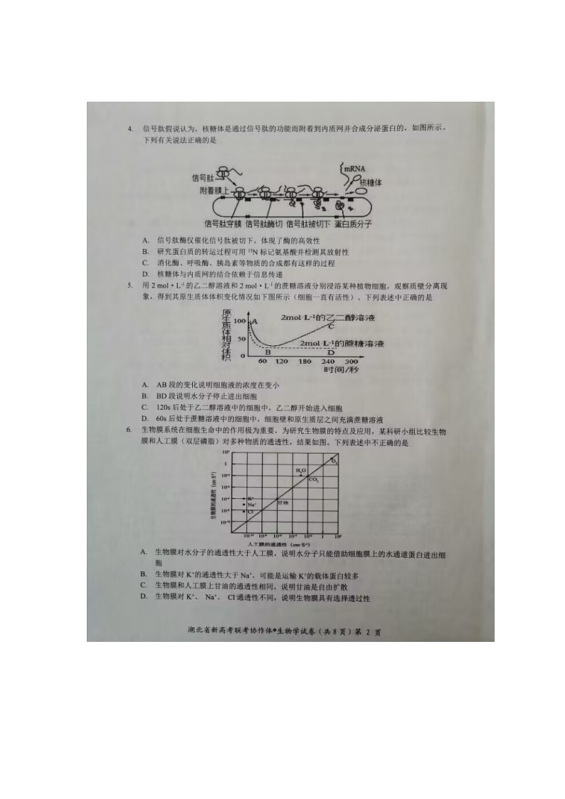 2023湖北省名校协作体高一下学期3月联考试题生物图片版含答案02