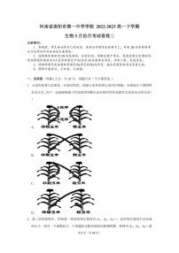 2023洛阳一中高一下学期3月月考生物试题PDF版含答案