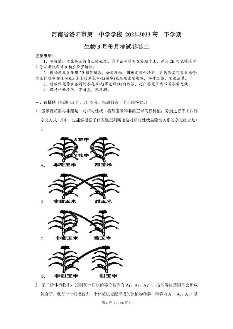 2023洛阳一中高一下学期3月月考生物试题PDF版含答案01
