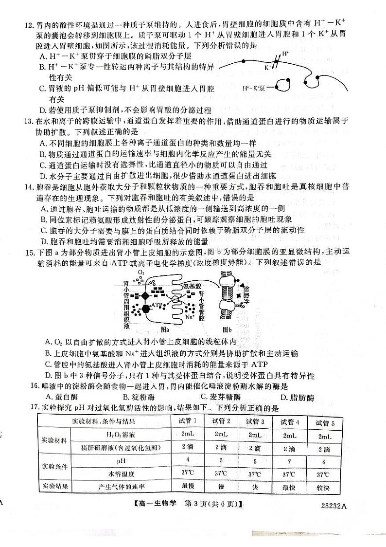陕西省宝鸡市教育联盟2022-2023学年高一上学期质量检测(二)生物试题第3页