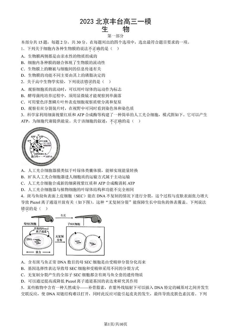 2023年北京丰台区高三一模生物试题及答案第1页