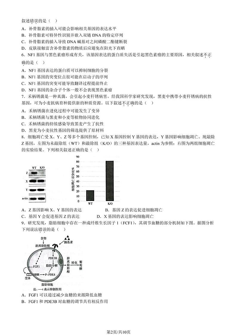 2023年北京丰台区高三一模生物试题及答案第2页