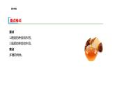 配套新教材-高中生物学-RJ-必修1第2章- 第3节课件PPT