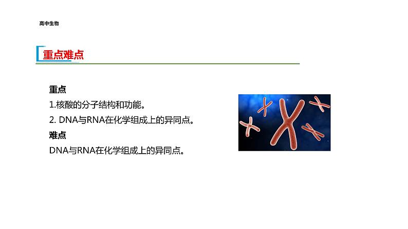 配套新教材-高中生物学-RJ-必修1第2章- 第5节课件PPT03