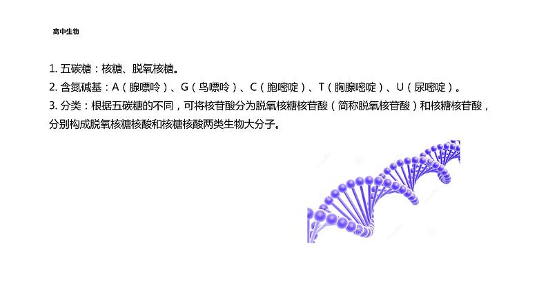 配套新教材-高中生物学-RJ-必修1第2章- 第5节课件PPT07