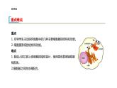 配套新教材-高中生物学-RJ-必修1第3章- 第2节课件PPT
