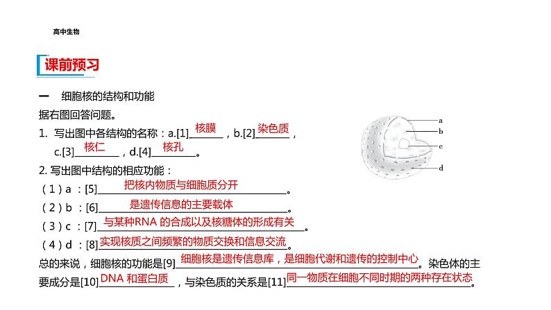 配套新教材-高中生物学-RJ-必修1第3章- 第3节课件PPT04