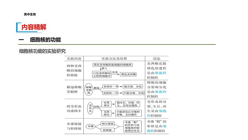 配套新教材-高中生物学-RJ-必修1第3章- 第3节课件PPT06