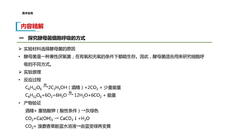 配套新教材-高中生物学-RJ-必修1第5章- 第3节课件PPT第8页