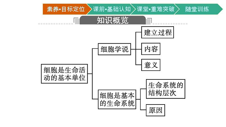 第1节　细胞是生命活动的基本单位课件PPT03