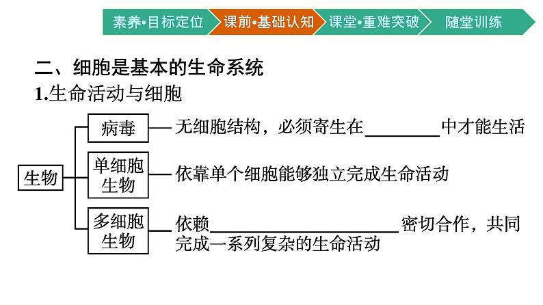 第1节　细胞是生命活动的基本单位课件PPT08