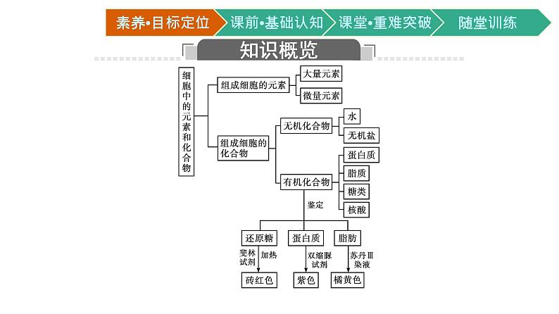 第1节　细胞中的元素和化合物课件PPT第3页