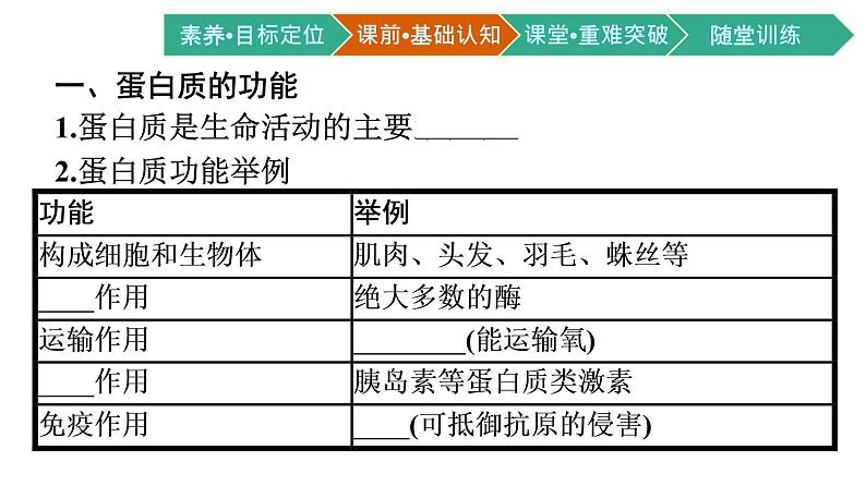 第4节　蛋白质是生命活动的主要承担者课件PPT第4页