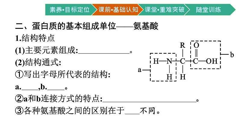 第4节　蛋白质是生命活动的主要承担者课件PPT第6页