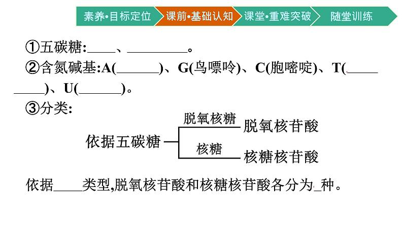 第5节　核酸是遗传信息的携带者课件PPT第6页