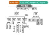第3节　细胞核的结构和功能课件PPT