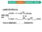 第3节　细胞核的结构和功能课件PPT
