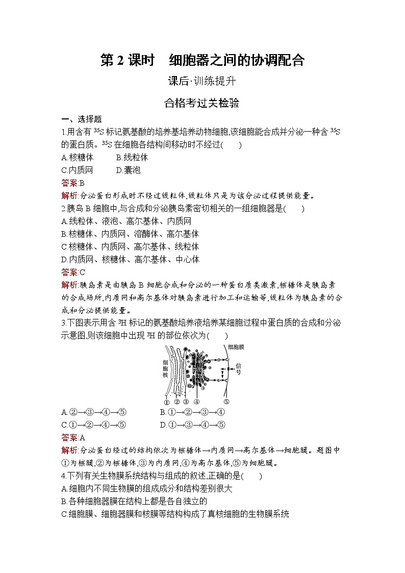 第3章　第2节　第2课时　细胞器之间的协调配合第1页