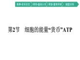 第2节　细胞的能量“货币”ATP课件PPT