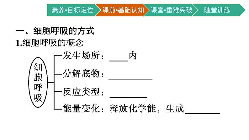 第3节　细胞呼吸的原理和应用 第1课时　细胞呼吸的方式和有氧呼吸课件PPT第4页