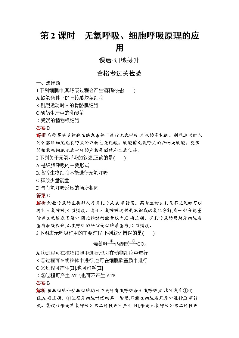 第5章　第3节　第2课时　无氧呼吸、细胞呼吸原理的应用 试卷01