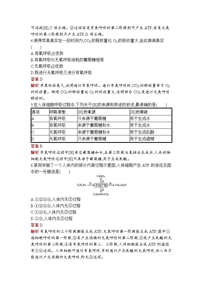 第5章　第3节　第2课时　无氧呼吸、细胞呼吸原理的应用 试卷02