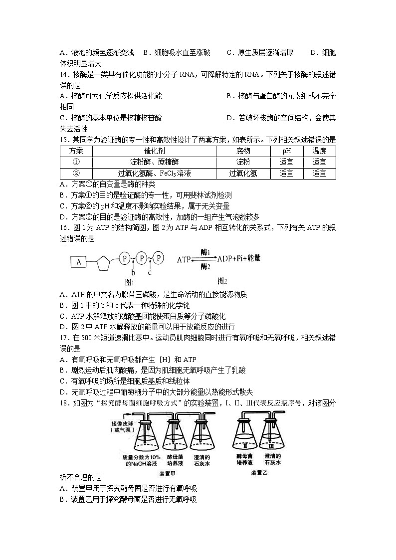 内蒙古呼和浩特市2022-2023学年高一生物下学期3月质量监测试题（Word版附答案）第3页