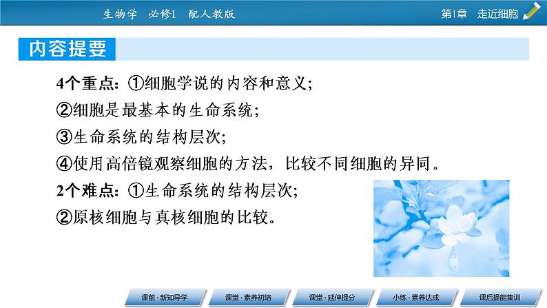 第1章 1同步课件04