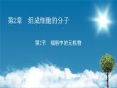 第2章 2同步课件