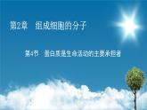 第2章 4同步课件